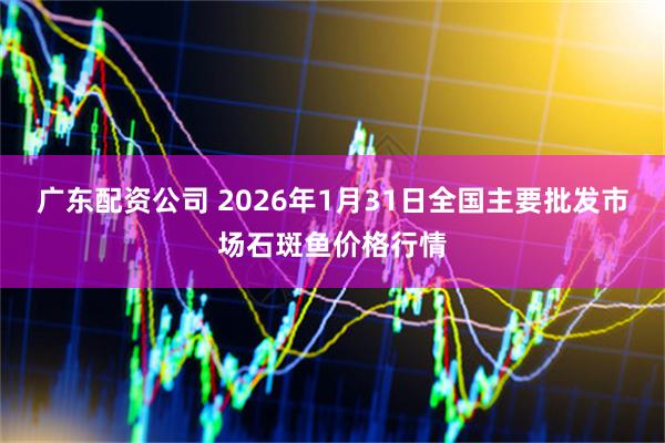 广东配资公司 2026年1月31日全国主要批发市场石斑鱼价格行情